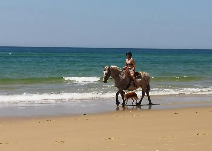 Entre Terre Et Sainte-Eulalie-en-Born